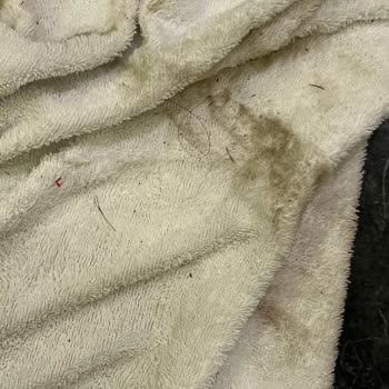 Oda Hijyeni Ve Teknik Arızalar Nedeniyle Yaşanan Şiddetli Mağduriyet
