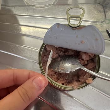 Konserve Ton Balığında Kılçık Ve Güven Sorunu