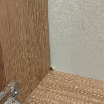 Eskidji Bazaar Ürünlerde Sorun Olması