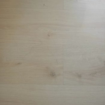 Giriş Gecikmesi Ve Kırık Oda Sorunları Tatil Keyfini Yıktı