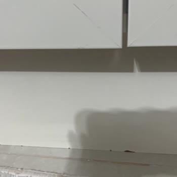 Ayıplı Ürün Ve Gecikmeli Teslimat Nedeniyle İade Talebi