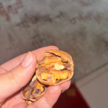 Nohut Ve Cevizde Böceklenme: Kalite Kontrolü Yetersiz