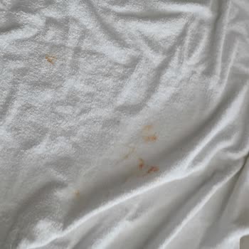 Tatilbudur Kirli Havlu Ve İptal İadesi Reddi Nedeniyle Mağduriyet
