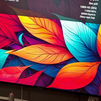 Onvo 55 İnç TV Panel Arızası İçin Garanti Onarımı Ve Servis-Müşteri Çelişkisi