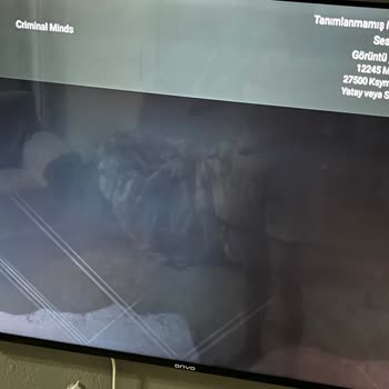 Onvo 55 İnç TV Panel Arızası İçin Garanti Onarımı Ve Servis-Müşteri Çelişkisi