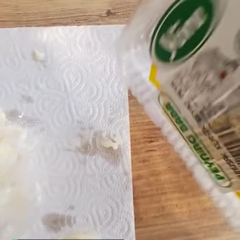 Yöre Peynir mi Poşet mi Satıyor?