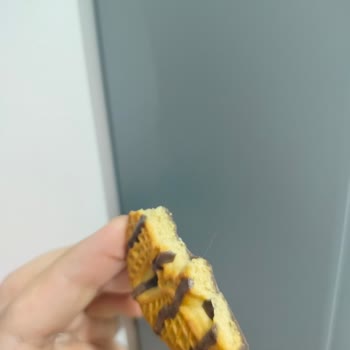 Karamel Zebra Bisküvi İçindeki Plastik Benzeri Yabancı Madde Sağlık Endişesi