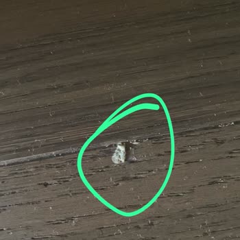 Enza Home’dan Teslimat Sırasında Ürünlerin Sürüklenmesi Ve Rutubetli Jelli Yastıkların Gönderilmesiyle Yaşanan Mağduriyet