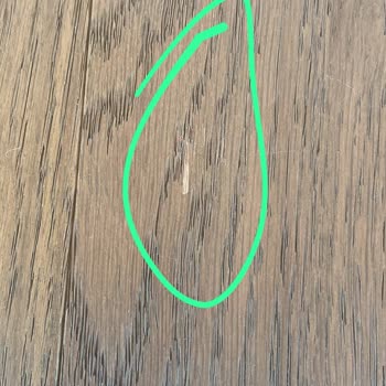 Enza Home’dan Teslimat Sırasında Ürünlerin Sürüklenmesi Ve Rutubetli Jelli Yastıkların Gönderilmesiyle Yaşanan Mağduriyet