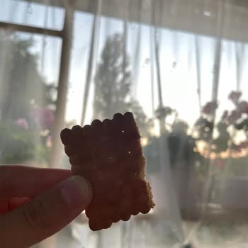 Ülker Pötibör Bisküvi İçinde Kıl Tespiti Ve Hijyen Endişesi