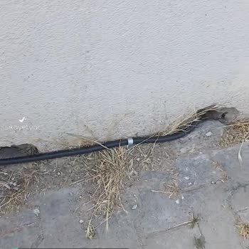 TurkNet Bizim Apartmana Ait Olmayan Bir Kablonun Sizin Apartmanınızdan Geçmesi