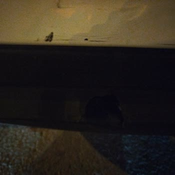 Kazada Tam Kusurlu Görülmem Sigorta Şirketinden Yeniden Değerlendirme Talebi