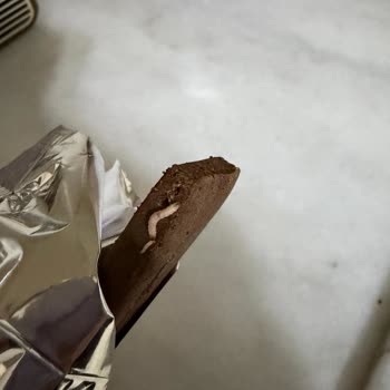 Züber Kids Meyve Barında Kurt Görülmesi