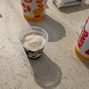 Sufle Yerine Dondurma Gönderildi Ve Müşteri Hizmetlerine Ulaşmak İmkansız