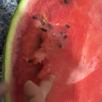 Karpuzun Çürük Gelmesi Ve Kurye Ücreti İadesi Talebi