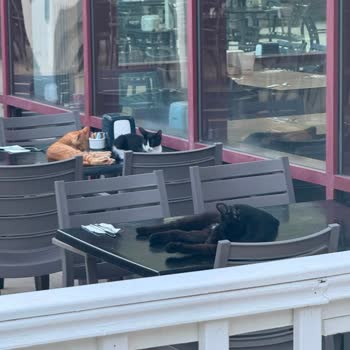 Le Mar Göynük Otelinde Hijyen Ve Temizlik Çöküşü