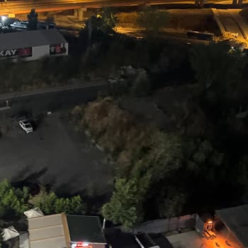 Bakırköy Ataköy’de Sürekli Sivrisinek Sorunu Ve Belediyeler Arası Sorumluluk Tartışması