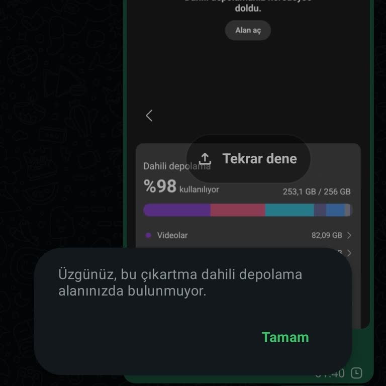 WhatsApp’ta Medya Gönderemiyorum, Depolama Hatası Diğer Kişilere Engelliyor