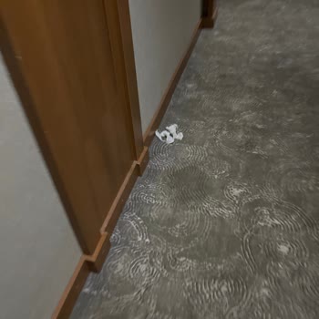 Grand Termal Yalova Resort'ta Uzun Bekleme, Agresif Personel Ve Bakımsız Odalar