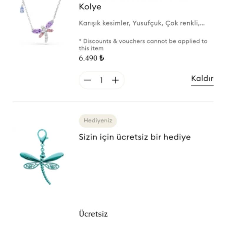 Ücretsiz Hediye Siparişimde Kargo Gecikmesi Ve Destek Yanıtsızlığı
