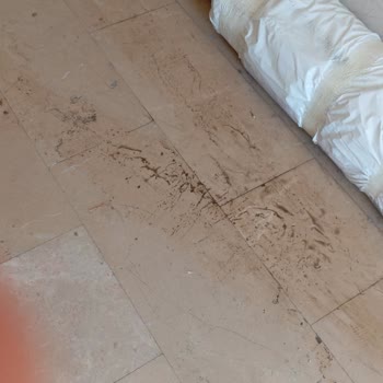 DHL Kargodaki Düşük Teslimat Kalitesi Ve A101 Halı Hasarı İade Talebi