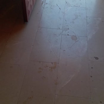 DHL Kargodaki Düşük Teslimat Kalitesi Ve A101 Halı Hasarı İade Talebi