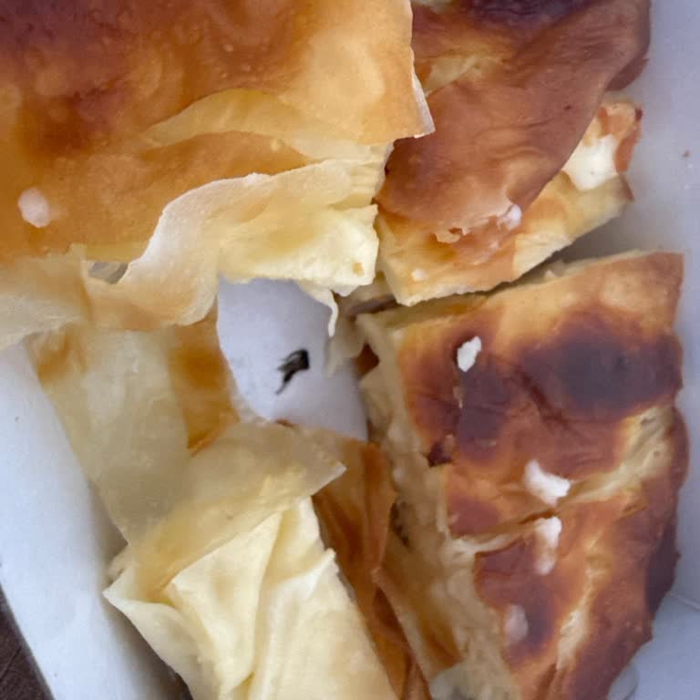 Defne Börekçilik Sinek Çıkan Börek