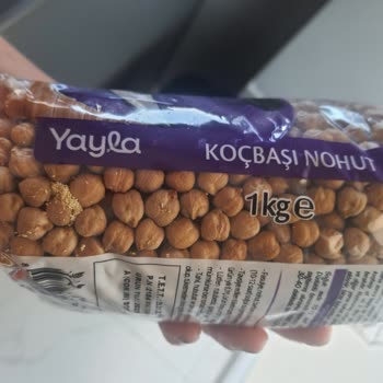 Yayla Nohutta Böceklenme Sorunu Güvenimi Sarstı