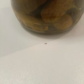 Tat Konserve Turşusunda Hijyen Sorunu Kapağın İçinde Ölmüş Böcekler
