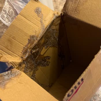 Korumasız Kargo Nedeniyle Şampuan Akarak Ürünler Hasar Görmüş, Şikayet Yanıt Alınamıyor
