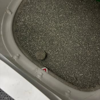 Evofone Ayıplı Kedi Kum Makinesi İade Talebimin Haksız Reddi