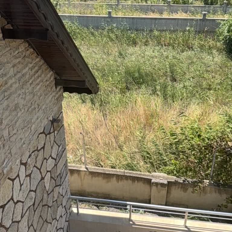 Türk Telekom'da Uzun Süreli İnternet Kesintisi Ve Destek Eksikliği