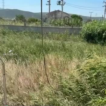 Türk Telekom İnternetim 5 Gündür Kesik