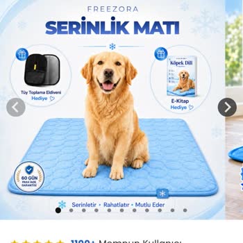 İlanla Gönderilen Ürün Farklı, İade Talebim Cevapsız