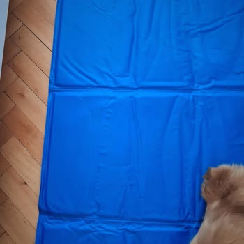 İlanla Gönderilen Ürün Farklı, İade Talebim Cevapsız