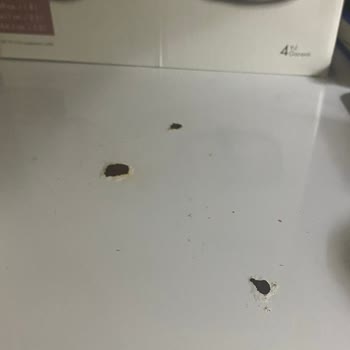Yeni Buzdolabımda Boya Soyulması Ve Ayıplı Ürün Değişim Talebi