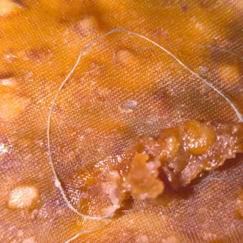 Eki aç