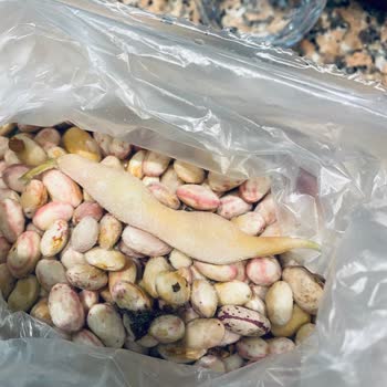 Dondurulmuş Ürünler, Yanıltıcı Bilgilendirme Ve İletişimsizlik