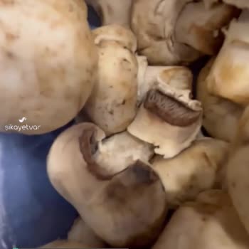 Koop Market Son Kullanma Tarihi Doğru Yazılmış Bozuk Ürün