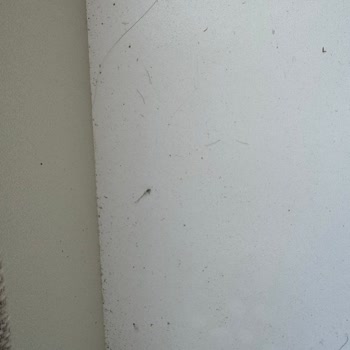Gündoğdu Mobilya’dan Kirli Ve Kullanılmış Kanepe Teslimatı
