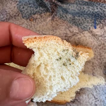 Manisa Turgutlu A101 Şubesinde Küflü Ekmek Satışı Kabul Edilemez
