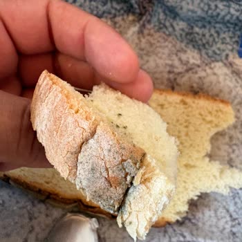 Manisa Turgutlu A101 Şubesinde Küflü Ekmek Satışı Kabul Edilemez