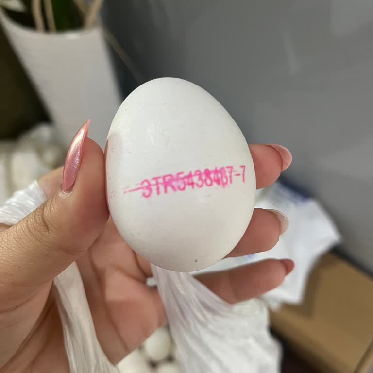 Essen Market’te Bozulmuş Yumurta Satışı Ve Sağlık Riski