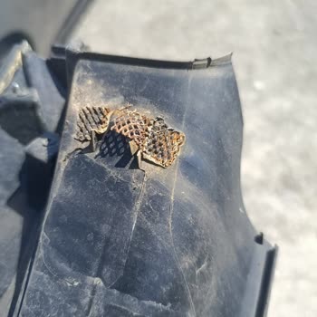 Ekspertiz Raporunda Gizlenen Değişen Parçalar Ve Görünmeyen Göçükler