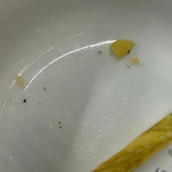 IKEA Restoranında Kıl Görülmesi Hijyen Sorunu