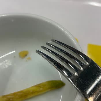 IKEA Restoranında Kıl Görülmesi Hijyen Sorunu