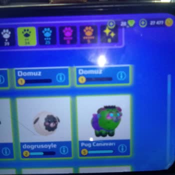 Tilki Kitty Takasında Aldatılma Ve Söz Verilen Pamps’ın Verilmemesi