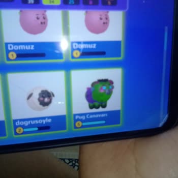 Tilki Kitty Takasında Aldatılma Ve Söz Verilen Pamps’ın Verilmemesi