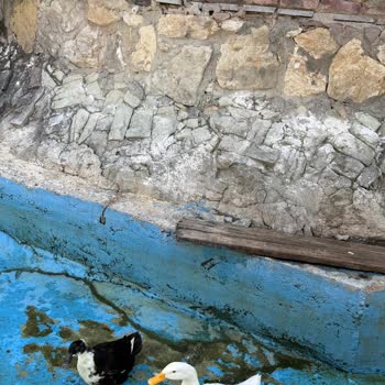 İlan Edilen Kahvaltı Ve Havuz Eksikliği, 2110 TL Fiyatla Hayal Kırıklığı