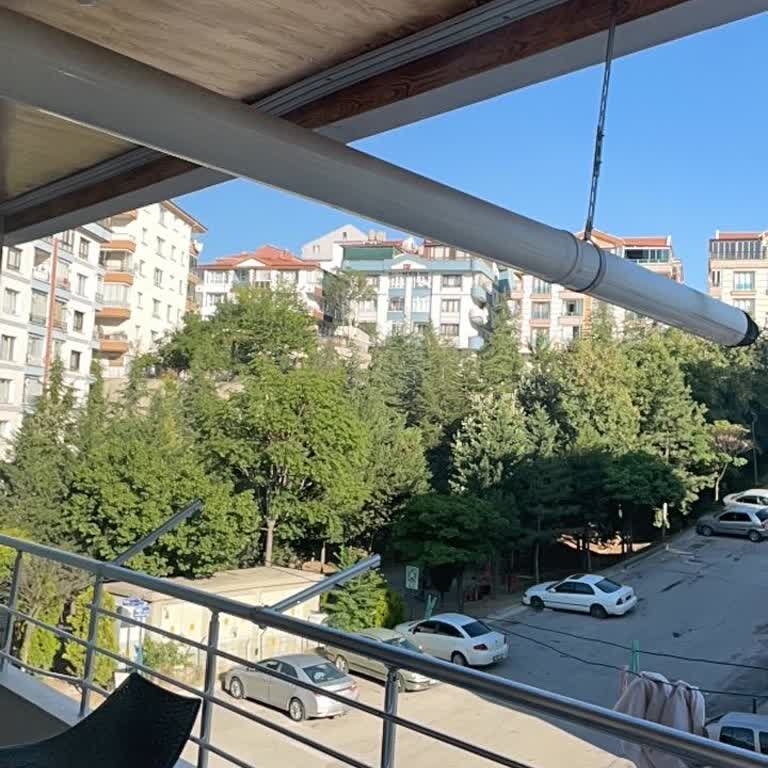 Küçük Çocuğumuz İçin Park Ağaçlarından Gelen Böcek Sorunu Acil Çözülmeli